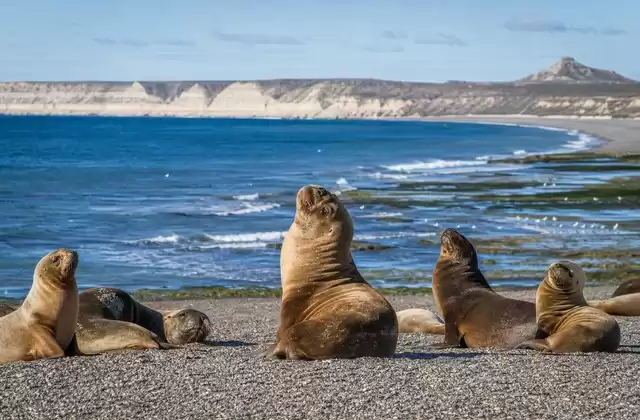 En Puerto Madryn