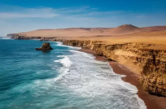 En la reserva de Paracas