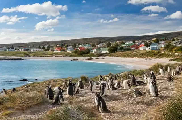 Islas Malvinas