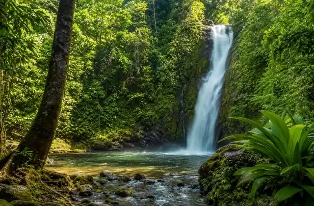 Tenaru Falls