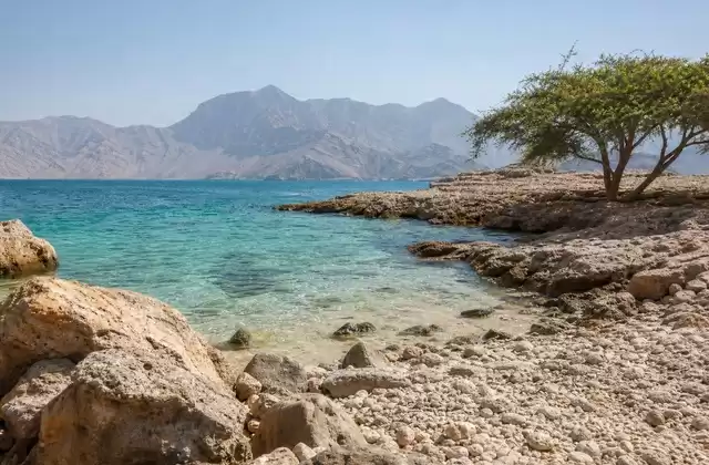 Telegraph Island