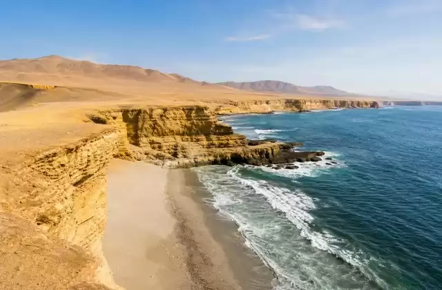 Reserva Nacional de Paracas