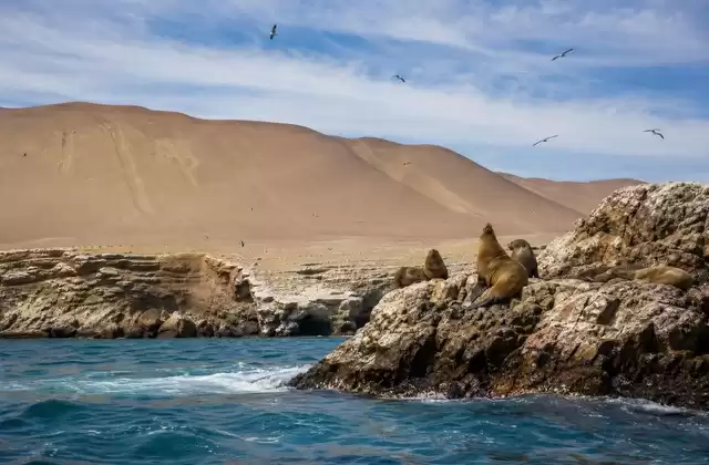 Islas Ballestas