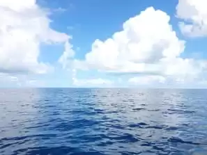 BlueIguana Tequila Bar